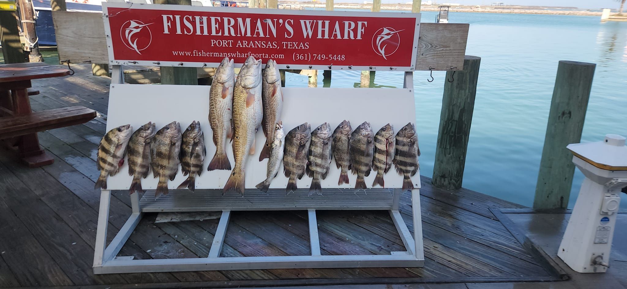 Port Aransas Fishing Reports