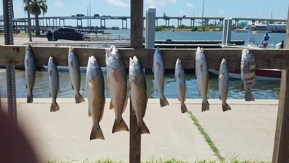 Pm Bay Fishing Trip 