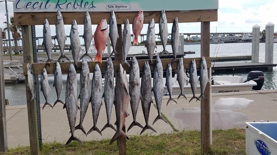 Fishing Charters Port Aransas